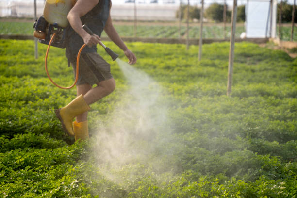 Best Wildlife Control Services  in Ottawa Hills, OH